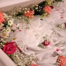 화성유일병원 이미지