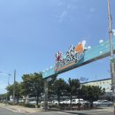 회떠주는집명성수산 | 대천항 수산시장 맛집 녹도수산 갑오징어 광어 회 포장 후기