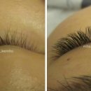 이미호아이래쉬 이미지