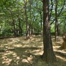 중앙근린공원 공중화장실 이미지