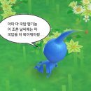 신마포갈매기제주일도점 | 3월 4주차┃차나무 심는 여인