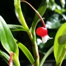 티지나SM 이미지