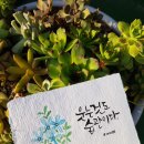 수채화 캘리그라피 이미지