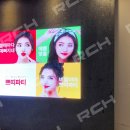 비비드성형외과의원 이미지