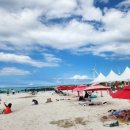 세화리해수욕장 이미지