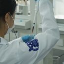 로맨시브