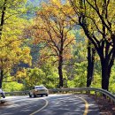 청주가로수길 이미지