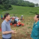 골든에그 이미지