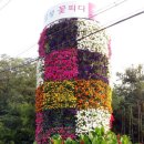 낙동강자전거길 이미지