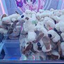 인형뽑기 이미지