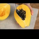 안동백조마을 이미지