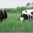 상아목장 이미지