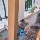 커피에르빈 이미지