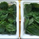 스위트허브 이미지