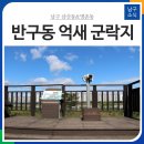 북구-태화강백리자전거길(북측) | [블로그 기자] 남구 삼산동과 명촌동, 반구동 억새 군락지의 멋진 가을 여행