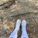 MS재건병원 이미지