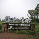 명월목장 이미지