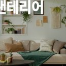 나의플랜테리어 이미지