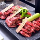 [월가갈비] 시청 콜키지프리 갈비 맛집 후기