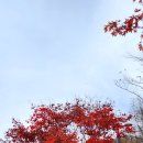 도덕산 캠핑장 이미지