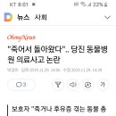 당진 동물병원 의료사고 이미지