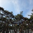 전북 부안군 변산반도국립공원 고사포야영장 하우스 5 하우스 19