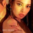 전*셉 이미지