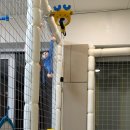 베리키즈풀빌라 이미지