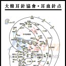 이침 - 이침의 중요 혈정 해설 이미지