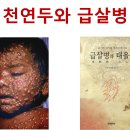 천연두 급살병과 대시국 의통군 이미지