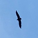 오서산산촌생태마을 | '서해의 명산' 충남 오서산