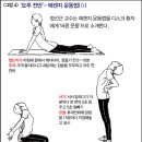 엄지의원 이미지