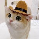 땡