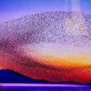 김영식공인중개사사무소 이미지