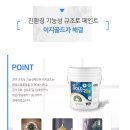 자연페인트