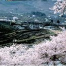 화개119지역대 이미지