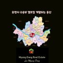 뉴부동산캠프공인중개사사무소 이미지