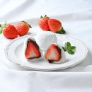 미크플로 쇼핑하우