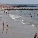 해 질 녘 클래식 산책 이미지