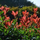 진해청소년수련원 이미지