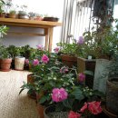 정원출장 이미지