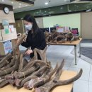 신월한의원 이미지