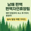 편백나무숲 | 남해 편백자연휴양림 예약 방법부터 숙소 후기까지-숲속 힐링 여행 가이드