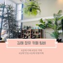 커피팀버 장유 | [김해 맛집/김해 카페] 차가 맛있었던 장유 카페 커피 팀버 내돈내산 방문후기