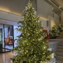 안다즈 서울 강남 | 안다즈 서울 강남 가을 애프터눈티 후기 (내돈내산)