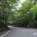 송단목장 이미지