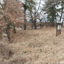 나성 필서봉 이미지