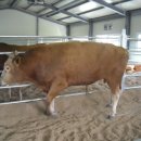 현제농장 이미지