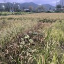 (주)자연농 이미지