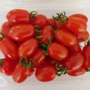 우리영농조합법인 농장 이미지